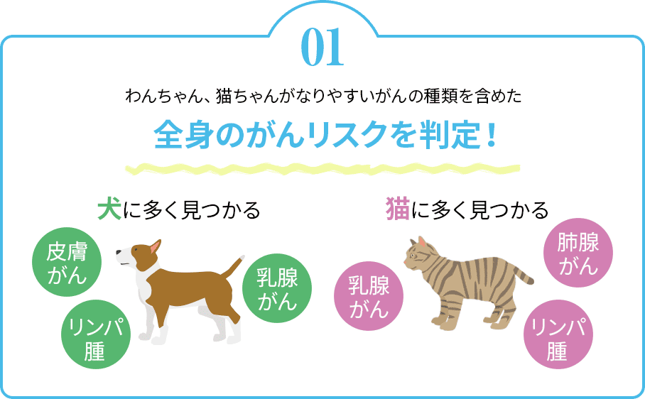 わんちゃん、猫ちゃんがなりやすいがんの種類を含めた全身のがんリスクを判定！犬に多く見つかる：皮膚がん、乳腺がん、リンパ腫 猫に多く見つかる：乳腺がん、肺腺がん、リンパ腫