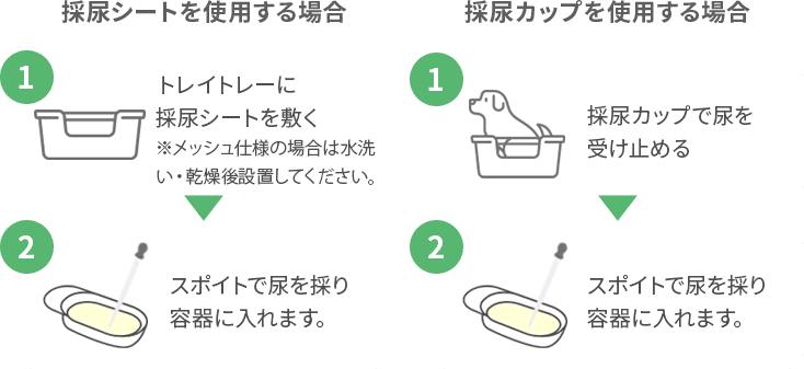 ①お尻の下に採尿かっぷを差し込みます ②スポイトで尿を取り容器に入れます。(尿はなるべく早く取ってください)