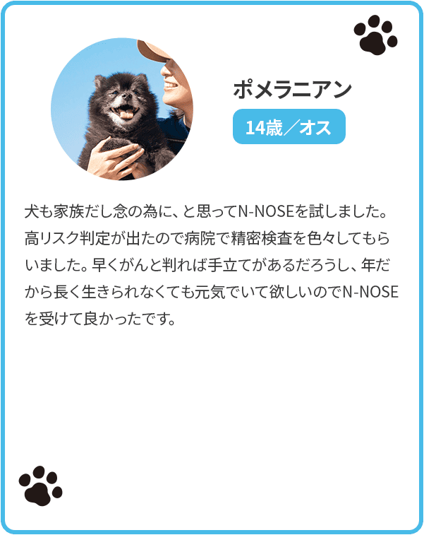 ポメラニアン14歳/オス