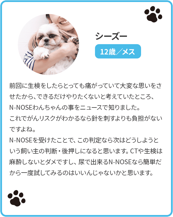 シーズー12歳/メス