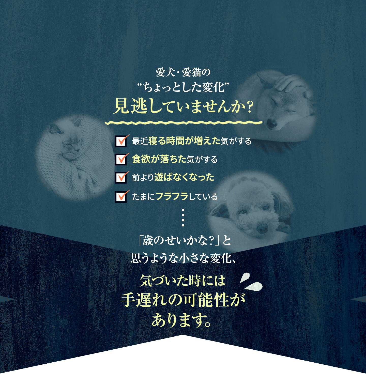 愛犬・愛猫のちょっとした変化見逃していませんか？
            ・最近寝る時間が増えた気がする
            ・食欲が落ちた気がする
            ・前より遊ばなくなった
            ・たまにフラフラしている
            歳のせいかな？と思うような小さな変化、気づいた時には手遅れの可能性があります。