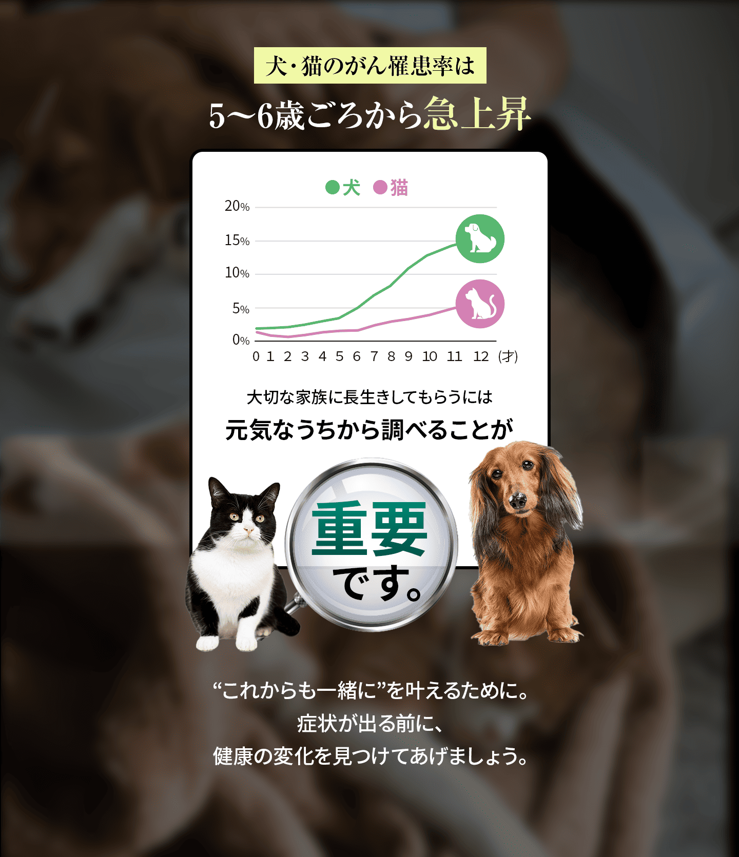 犬・猫のがん罹患率は5〜6歳ごろから急上昇。大切な家族に長生きしてもらうには元気なうちから調べることが重要です。これからも一緒に”を叶えるために。症状が出る前に、健康の変化を見つけてあげましょう。