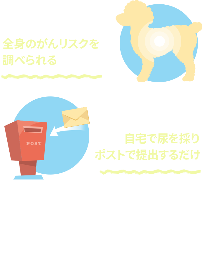 ポイント１前身のがんリスクを調べられる！ポイント２自宅で尿をとりポストで提出するだけ