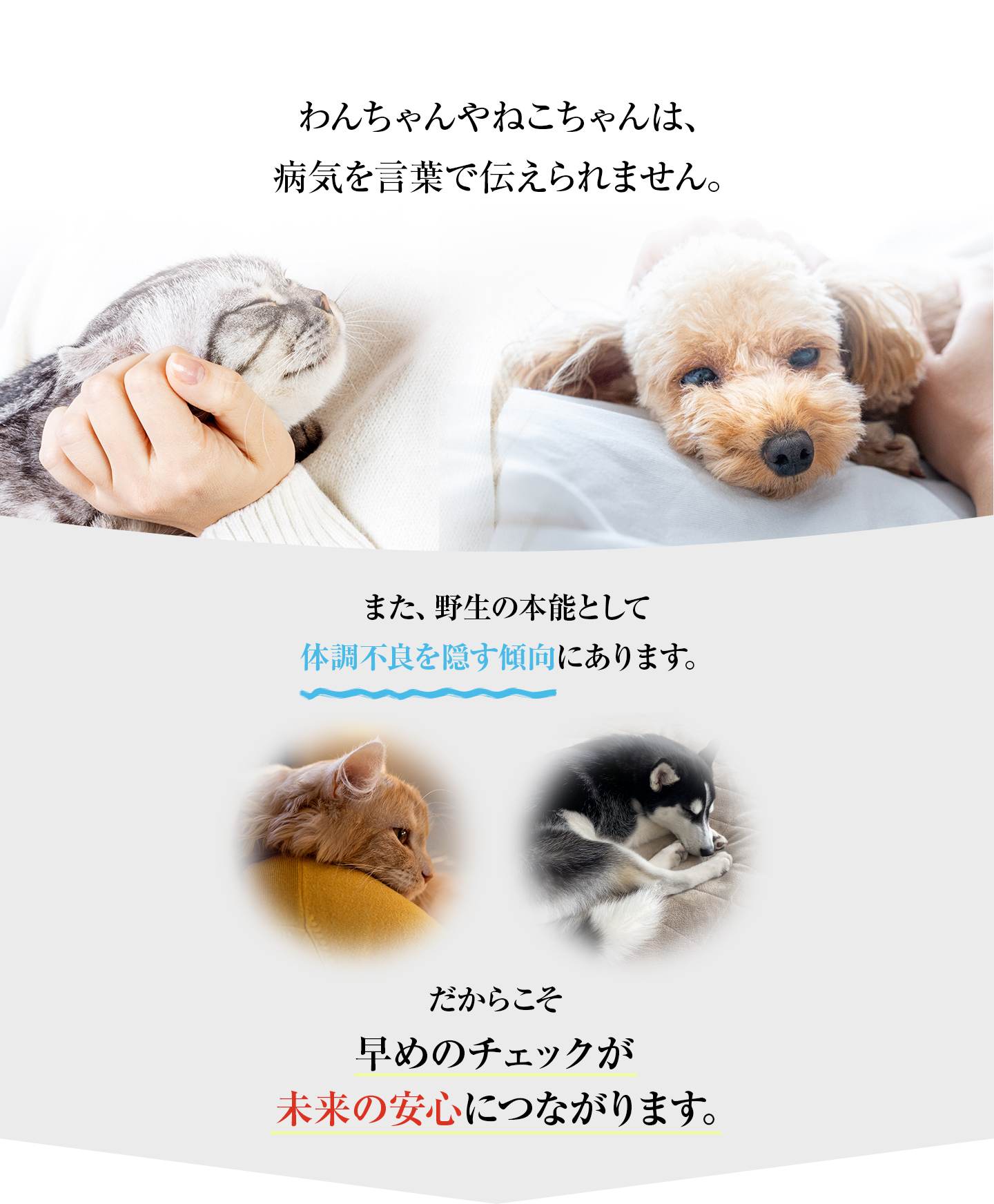 わんちゃんやねこちゃんは、病気を言葉で伝えられません。また、野生の本能として体調不良を隠す傾向にあります。だからこそ早めのチェックが未来の安心につながります。